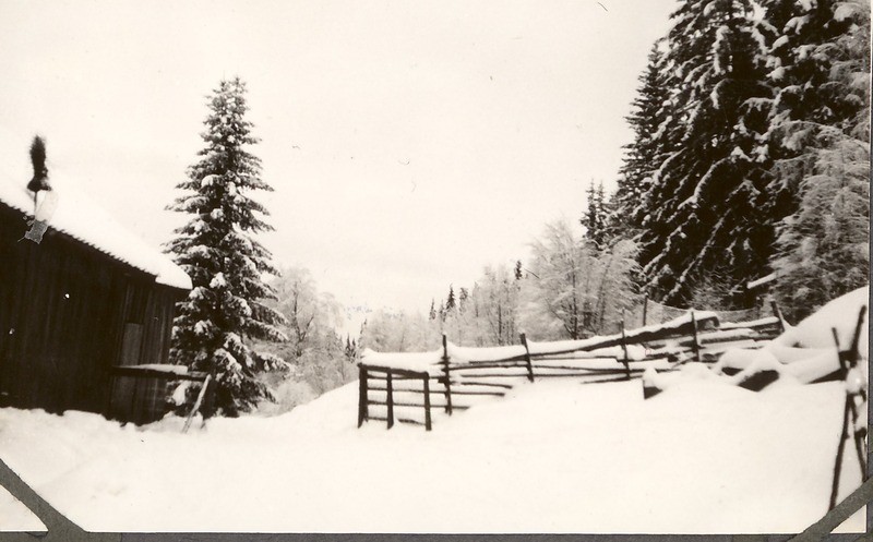 http://omeka.deichman.no/archive/import/B20070011.jpg