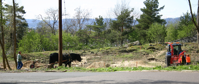 http://omeka.deichman.no/archive/import/B20110139.jpg