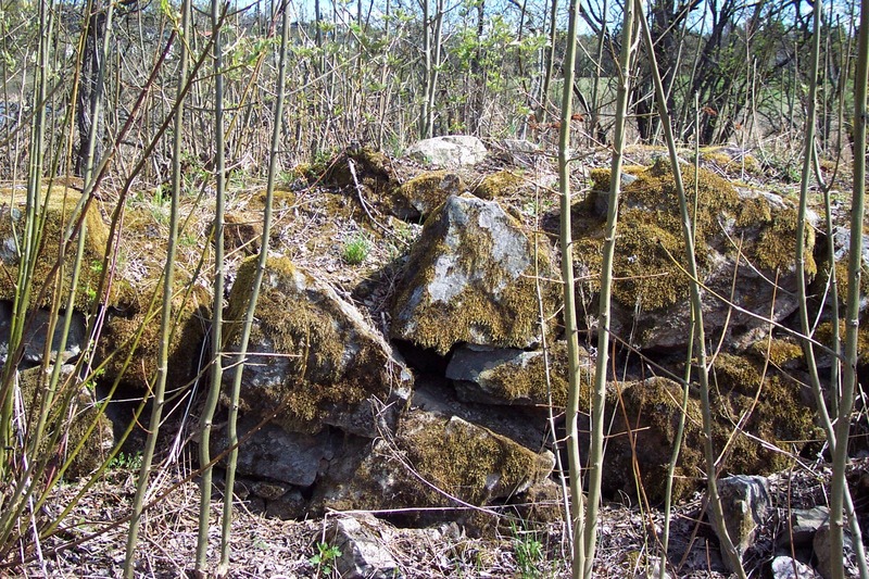 http://omeka.deichman.no/archive/import/B20050148.jpg