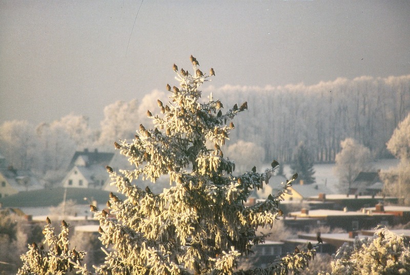 http://omeka.deichman.no/archive/import/B20050086.jpg