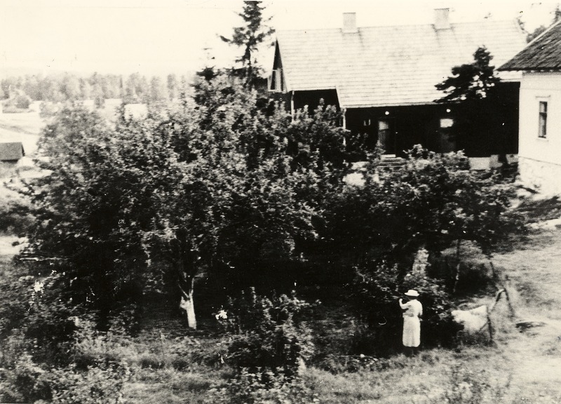 http://omeka.deichman.no/archive/import/B20030116.jpg