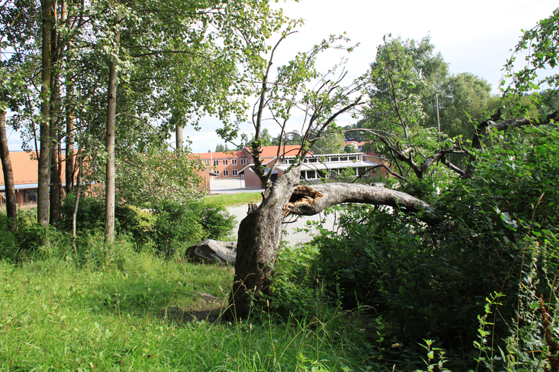 http://omeka.deichman.no/archive/import/B20110092.jpg