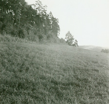 http://omeka.deichman.no/archive/import/B20040026.jpg