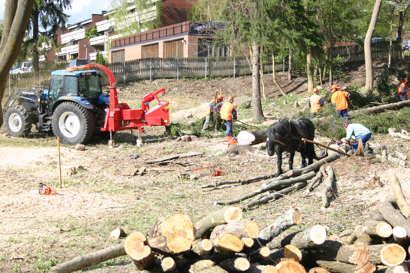 http://omeka.deichman.no/archive/import/B20110143.jpg