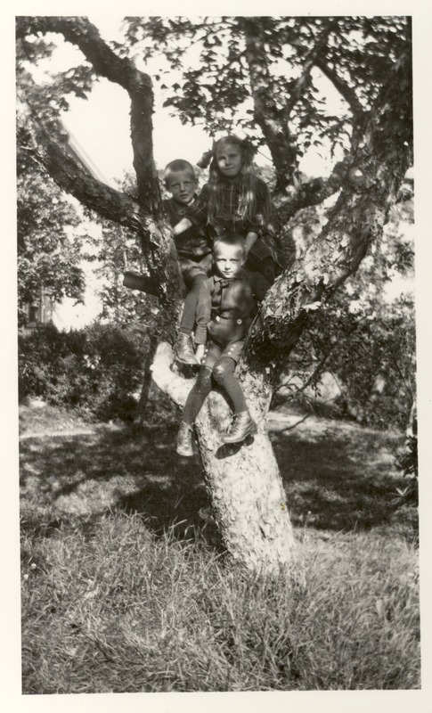 http://omeka.deichman.no/archive/import/B20110275.jpg