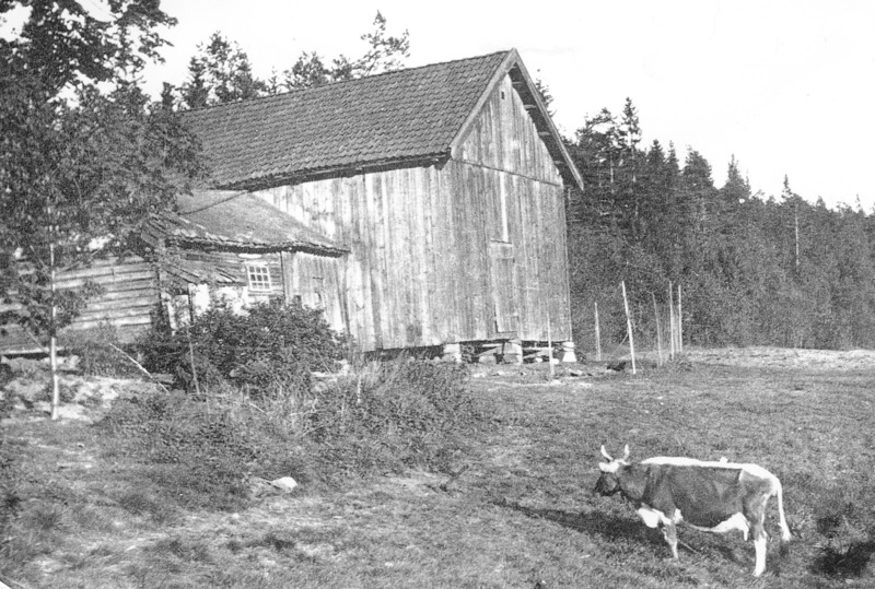 http://omeka.deichman.no/archive/import/B20040248.jpg