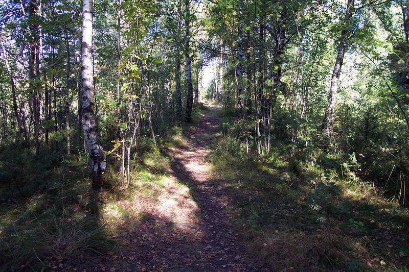 http://omeka.deichman.no/archive/import/B20060103.jpg