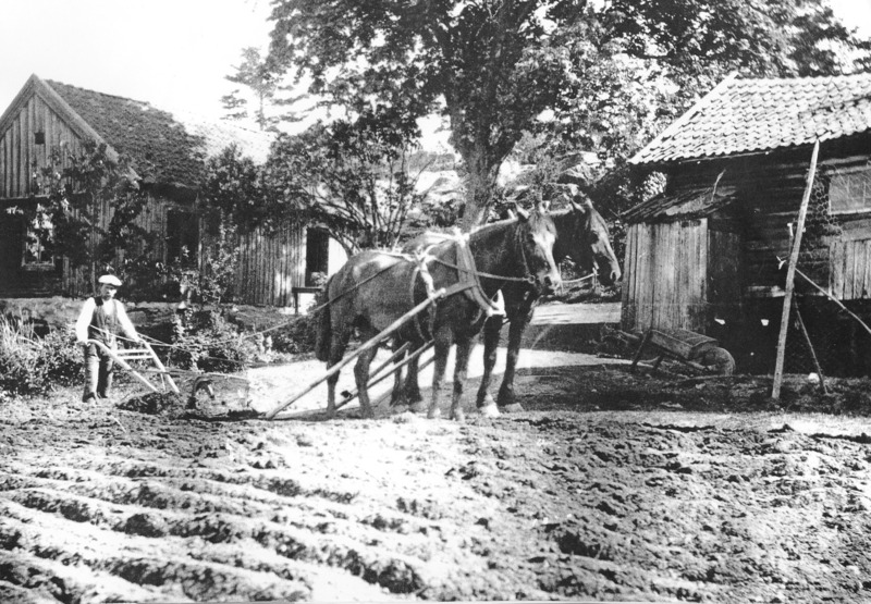 http://omeka.deichman.no/archive/import/B20040247.jpg
