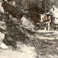 http://omeka.deichman.no/archive/import/B20070063.jpg