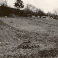 B20130029.jpg