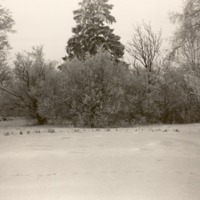 http://omeka.deichman.no/archive/import/B20110315.jpg