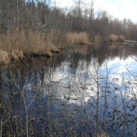 B20150004.jpg