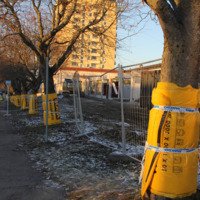 B20190221.jpg