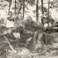 http://omeka.deichman.no/archive/import/B20110372.jpg
