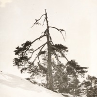 http://omeka.deichman.no/archive/import/B20070045.jpg