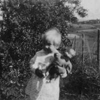 http://omeka.deichman.no/archive/import/B20060223.jpg