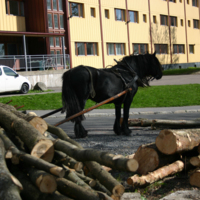 http://omeka.deichman.no/archive/import/B20110153.jpg
