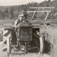 http://omeka.deichman.no/archive/import/B20030146.jpg