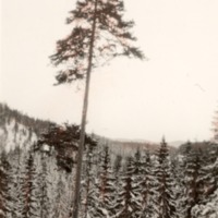 http://omeka.deichman.no/archive/import/B20070086.jpg