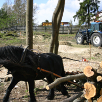 http://omeka.deichman.no/archive/import/B20110149.jpg