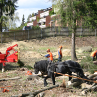 http://omeka.deichman.no/archive/import/B20110142.jpg