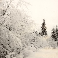 http://omeka.deichman.no/archive/import/B20070014.jpg