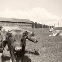 http://omeka.deichman.no/archive/import/B20110397.jpg