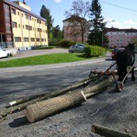 http://omeka.deichman.no/archive/import/B20110152.jpg