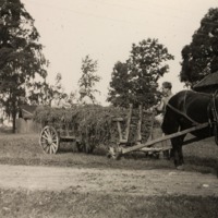 http://omeka.deichman.no/archive/import/B20110334.jpg