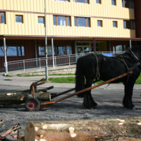 http://omeka.deichman.no/archive/import/B20110154.jpg