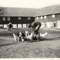 http://omeka.deichman.no/archive/import/B20110293.jpg