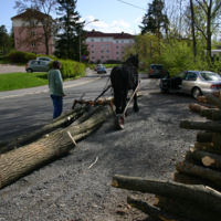 http://omeka.deichman.no/archive/import/B20110151.jpg