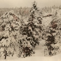 http://omeka.deichman.no/archive/import/B20070094.jpg