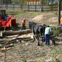 http://omeka.deichman.no/archive/import/B20110141.jpg