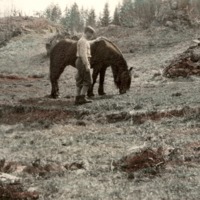 http://omeka.deichman.no/archive/import/B20070074.jpg