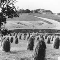 http://omeka.deichman.no/archive/import/B20050034.jpg