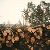 http://omeka.deichman.no/archive/import/B20110190.jpg