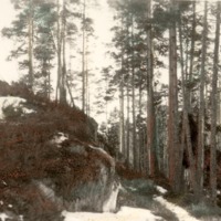 http://omeka.deichman.no/archive/import/B20070060.jpg