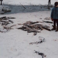 http://omeka.deichman.no/archive/import/B20100085.jpg