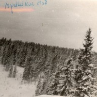 http://omeka.deichman.no/archive/import/B20090071.jpg