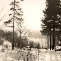 http://omeka.deichman.no/archive/import/B20070035.jpg