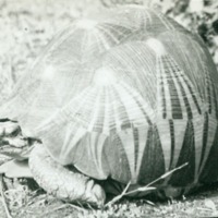 http://omeka.deichman.no/archive/import/B20040155.jpg