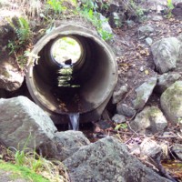 B20120157.JPG