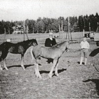 http://omeka.deichman.no/archive/import/B20030203.jpg