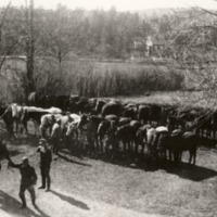 http://omeka.deichman.no/archive/import/B20030077.jpg