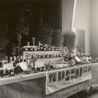 http://omeka.deichman.no/archive/import/B20060200.jpg