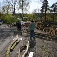 http://omeka.deichman.no/archive/import/B20110150.jpg