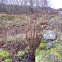 http://omeka.deichman.no/archive/import/B20050145.jpg