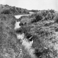 http://omeka.deichman.no/archive/import/B20050152.jpg