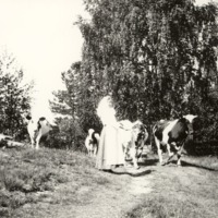http://omeka.deichman.no/archive/import/B20100310.jpg
